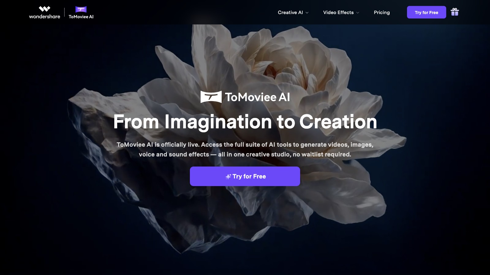 ToMoviee AI 产品预览图