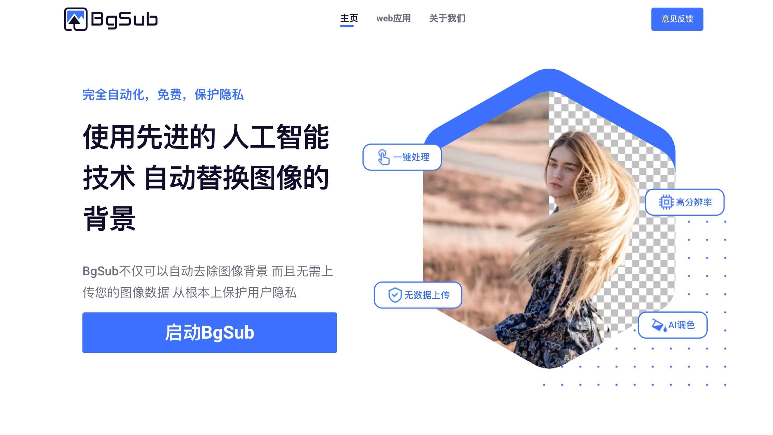 BgSub 产品预览图