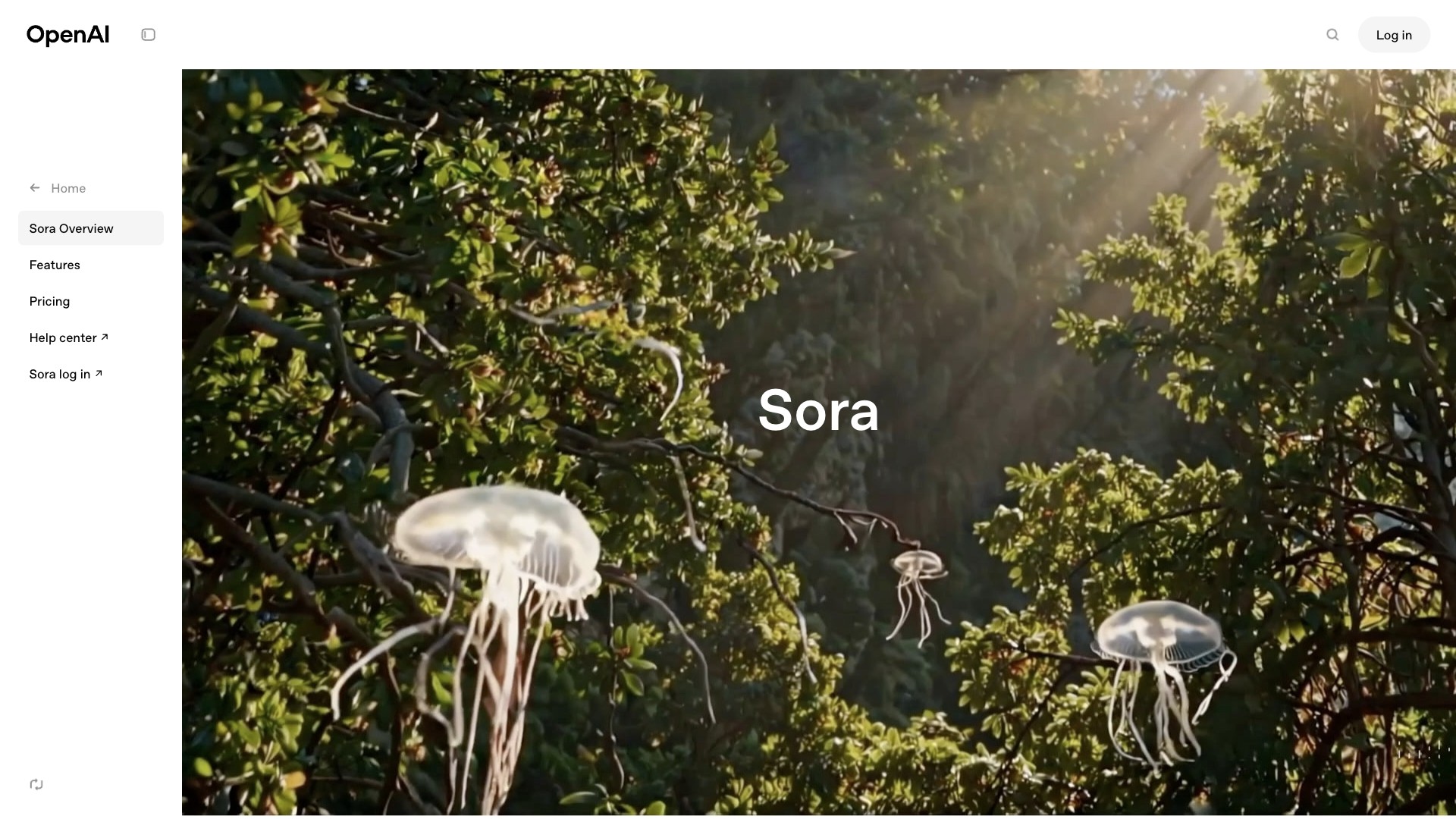 Sora 产品预览图